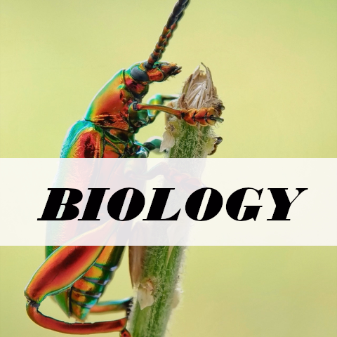 biology