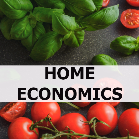 home economics