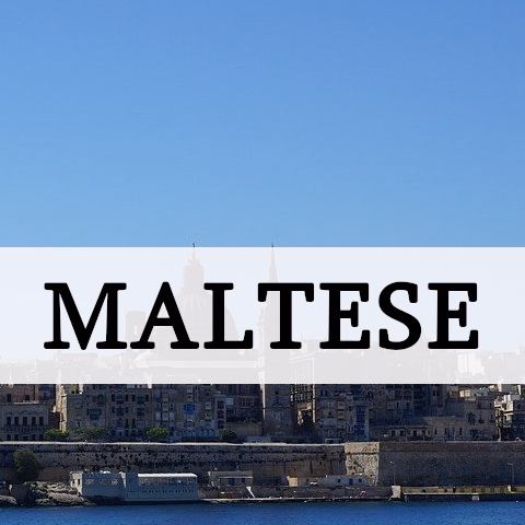 maltese
