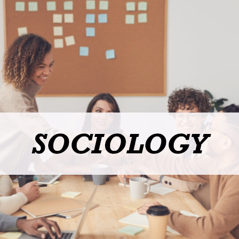 sociology